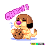 Puppys nation