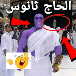 habibi’s cult