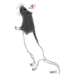 AM LIKE RAT