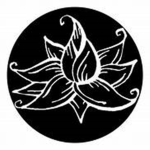 The Blacker Lotus
