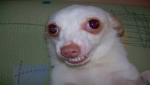 Sammy like you