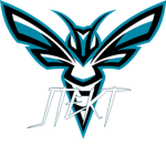 JTEKT Sting Karate