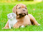 New friendship :)