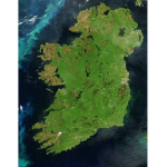 Irish   Robloxians