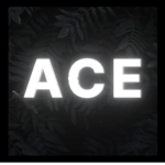 Ace Markets