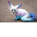 galexy nashon