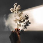 Aesthetiic styles