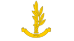 Lyra Defense Forces