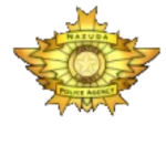N.P.A.N.
