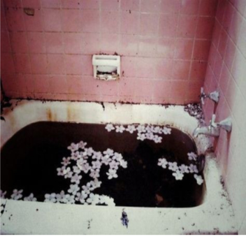 pink flowers grow from my skin