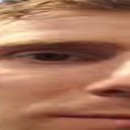 ل