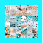 -+ tropical +-