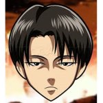 Team Levi
