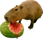 capybara MWAHAHA