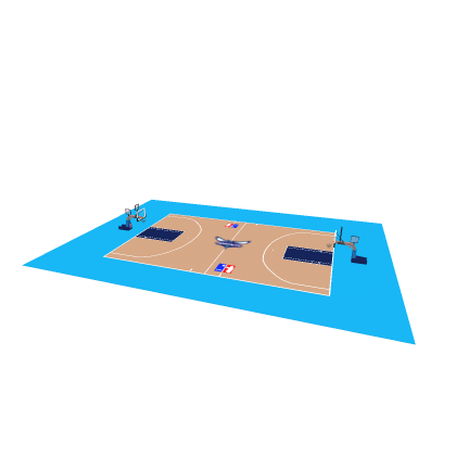 WWBL Charlotte Hornets Court