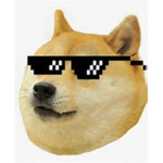 doges for life!!!
