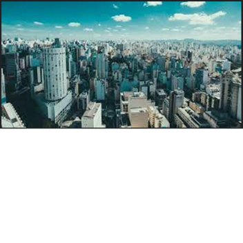 The City