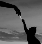 No Bliss -