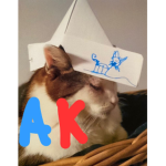 AydenKnorretjeProductions