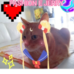 I FAN DI FASHION E JERRY