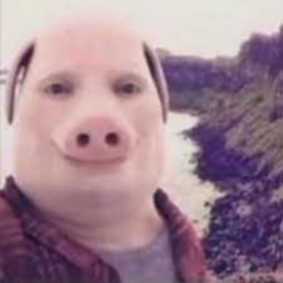OHIO PigGy