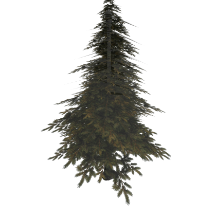 Mesh Pine Tree