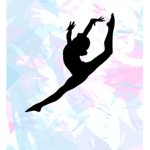 silver owls elite gym team