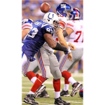 new york giant fans