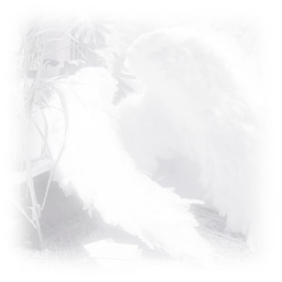 .⋆♱