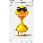 Duckysquad forever