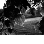 slender._.grop