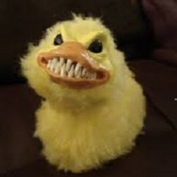 ducke