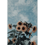 || Chill house ||