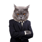 C.I.A [CAT INTELLIGENCE AGENCY]