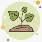 Sprout Cult!