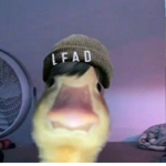 ZachAsh Squad: Official Fan Group