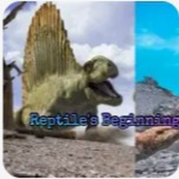 298M REPTILES BEGINGS