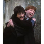 HARRY THINGS