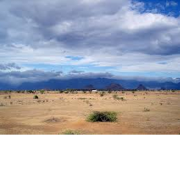 Dessert Tribe's Forgotten Land