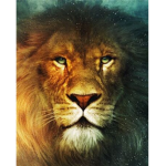 long live Aslan