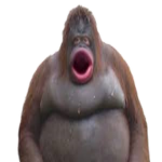 SuperMonkeyJo's group