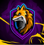 THE NIGHTF0XX CLUB!