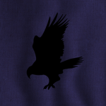 The Sky Clan of ROBLOX | Nighthawks