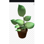 Plant action store