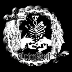 Crim-Veil