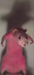 IM FAST BOI