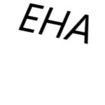 EHA - Elite Hoops Association