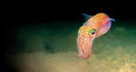 3000 miles underwater