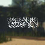 Local Militia Forces