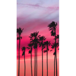 Sunset groupp <3